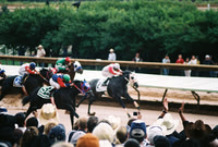 All American Futurity 2009 by Zane Fry